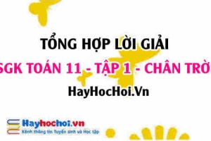 Giải Bài tập Toán 11 tập 1 SGK Chân trời sáng tạo